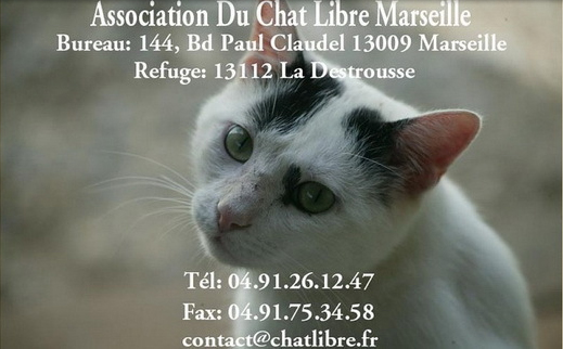 association chat libre